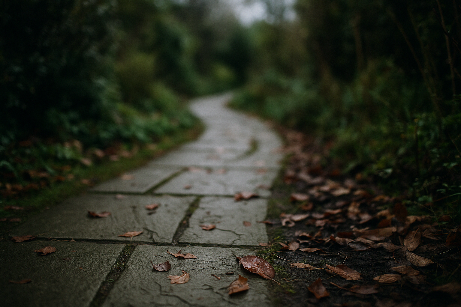 Understanding Colitis in Older Adults: Common Causes, Risk Factors, and Triggers
